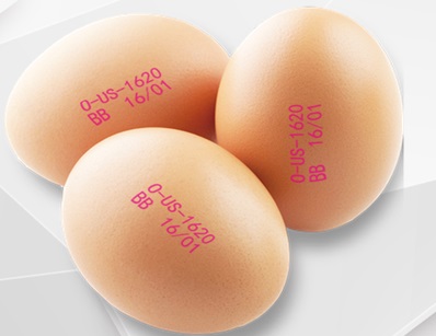 Safe Eggs Edible Printing Ink-Especially for Eggs