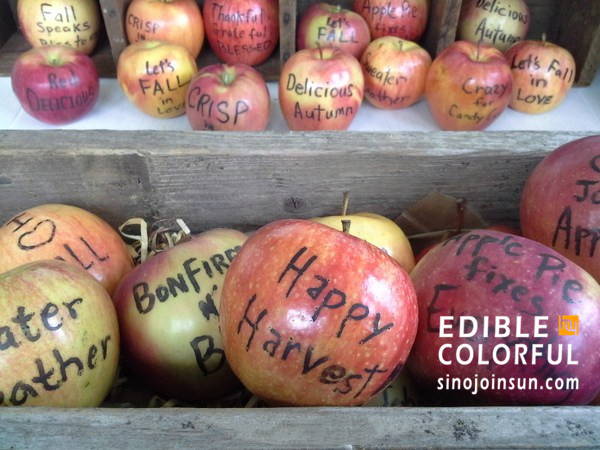 edible food marker draw on apples