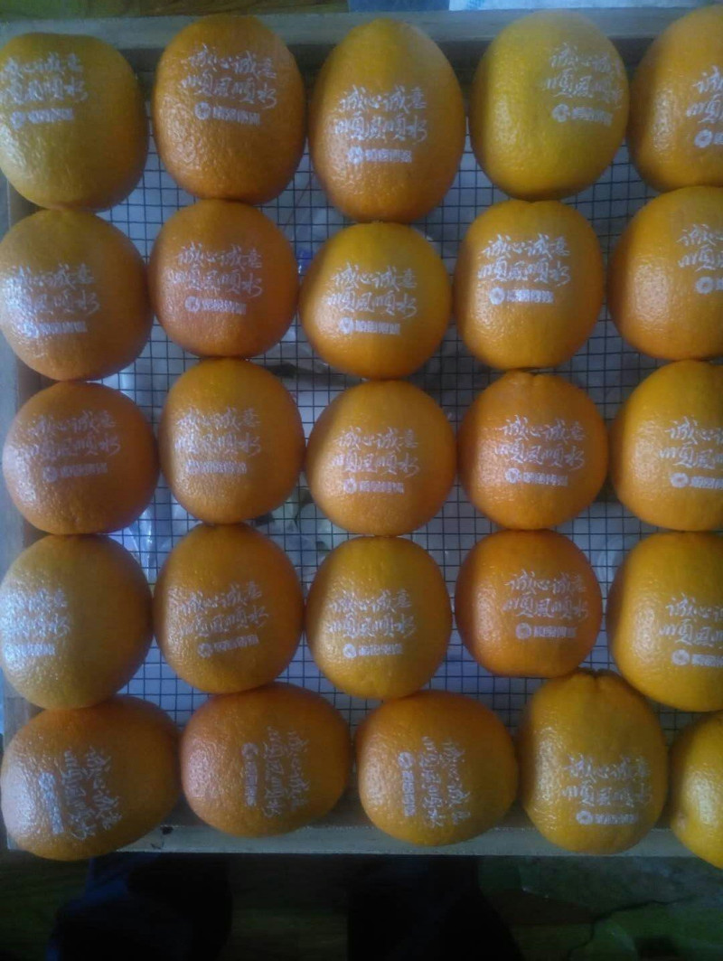 Beautiful Printed Orange-With Our Edible Ink