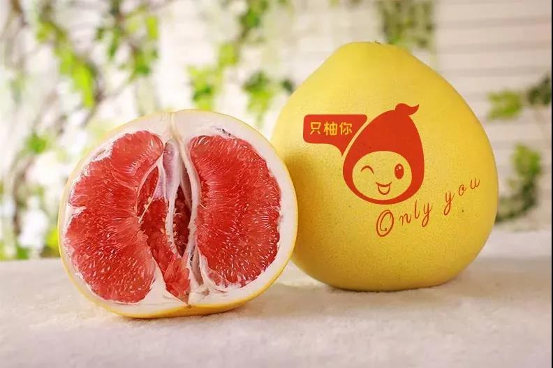 fruit printing edible logo，edible image