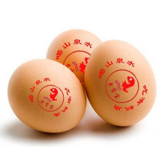 Egg Small character inkjet printing edible ink