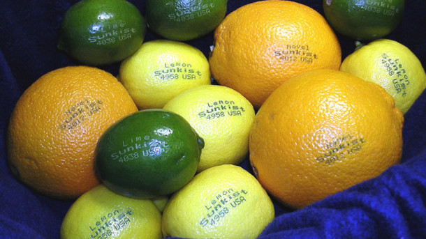 Egg Small character inkjet printing edible ink