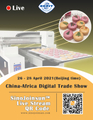 Warmly Welcome you to Watch SinoJoinsun Webcast of China-Africa Digital Trade Show