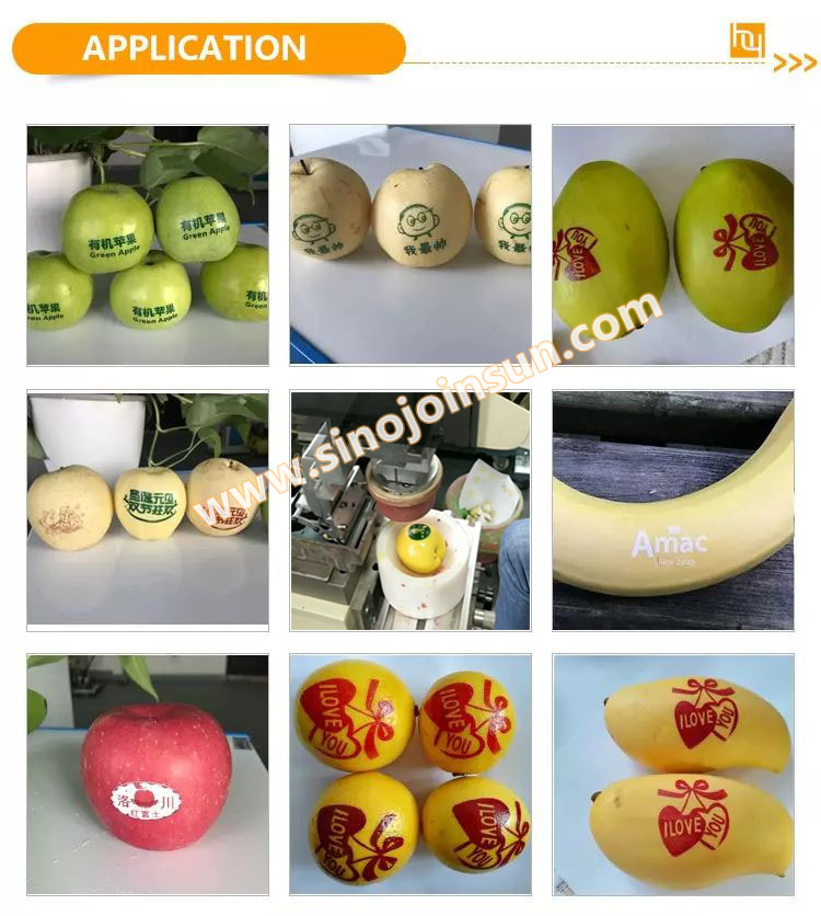 fruit printer-SinoJoinsun_logo